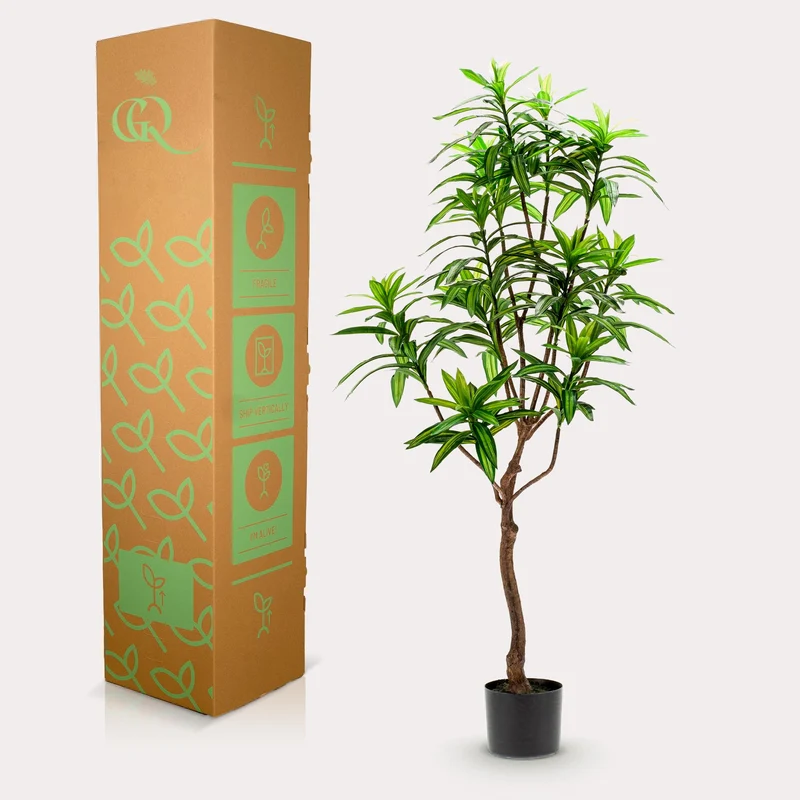 Kunstpflanze - Dracaena - Drachenbaum - 130 cm,155cm,190cm