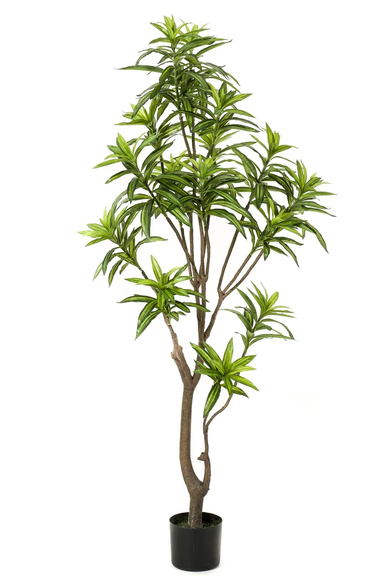 Kunstpflanze - Dracaena - Drachenbaum - 130 cm,155cm,190cm