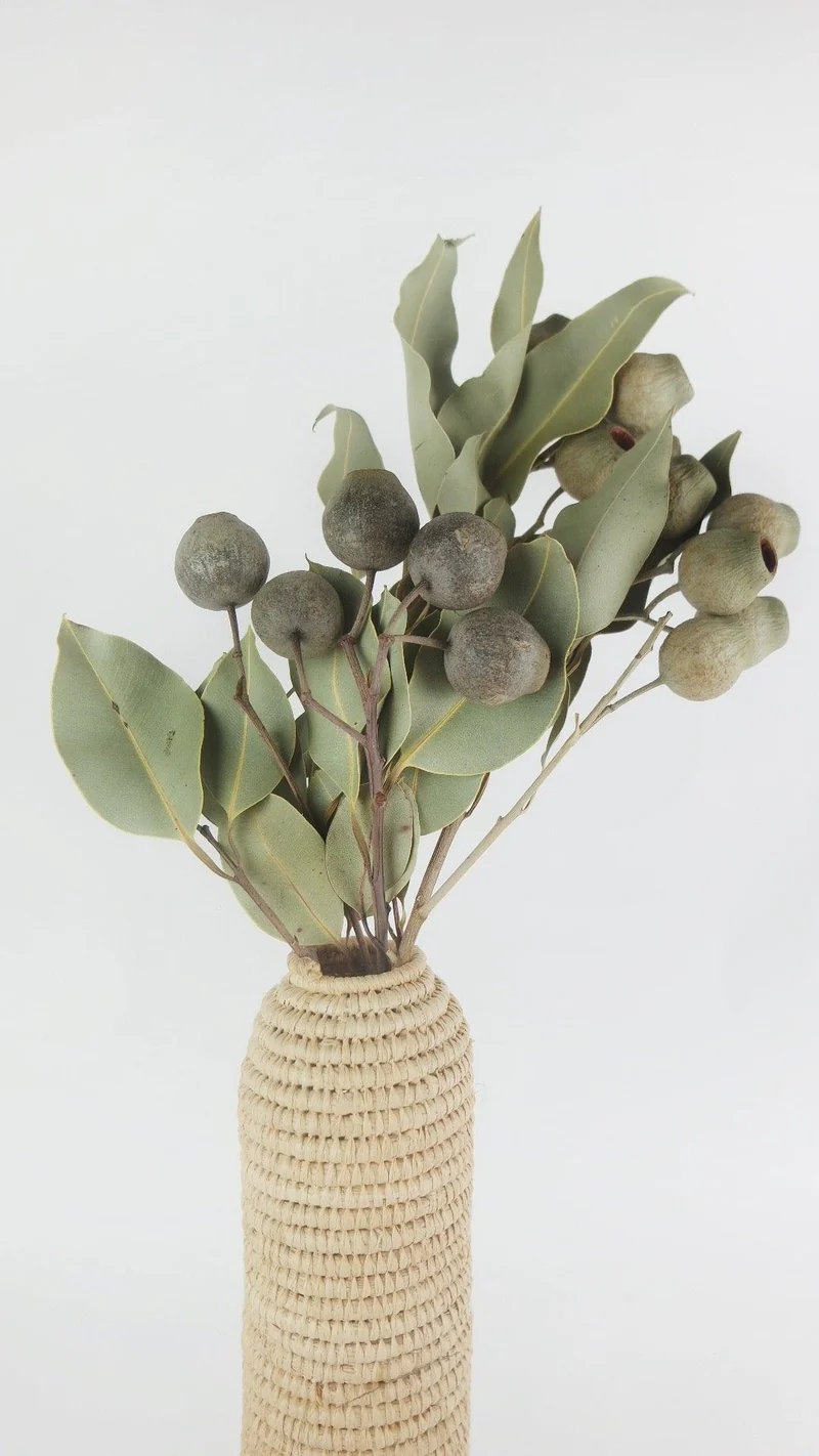 Bellgum getrocknet Earth Matters - 1 Bund - Naturfarbe