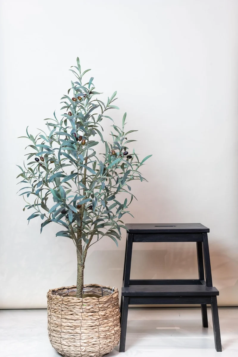 Künstlicher Olivenbaum kaufen – Olea europaea Kunstpflanze, 115–180 cm