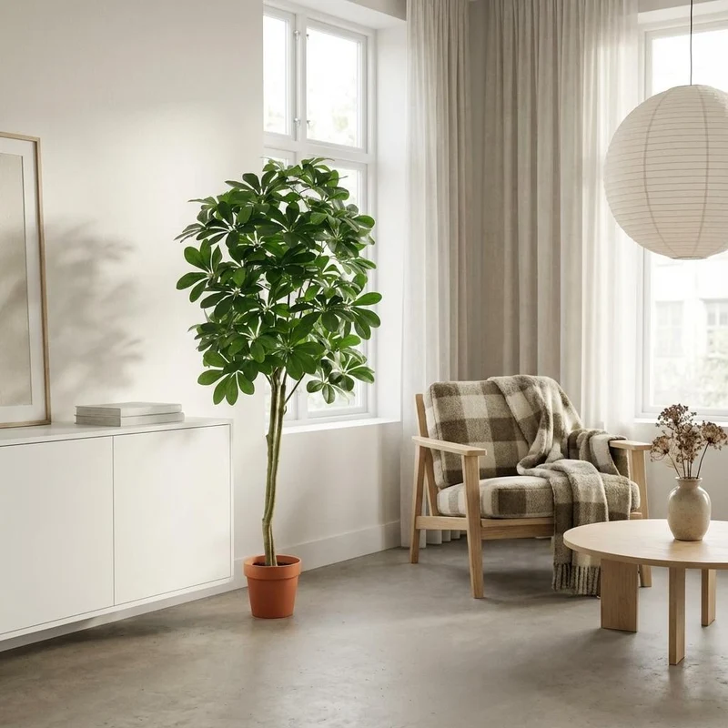 Kunstpflanze Pachira Aquatica in verschiedenen Größen (86cm, 90cm, 150cm, 150cm, 180cm)