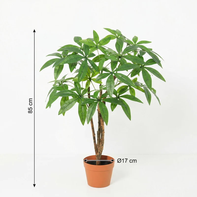 Kunstpflanze Pachira Aquatica in verschiedenen Größen (86cm, 90cm, 150cm, 150cm, 180cm)