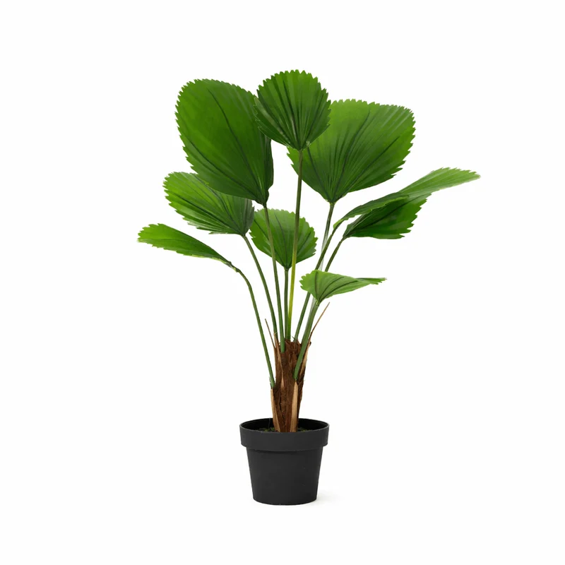 Kunstpflanze Licuala Grandis - 104cm