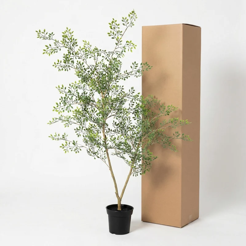 Kunstpflanze Bucida in 3 verschiedenen Größen ( 71cm, 165cm, 200cm)