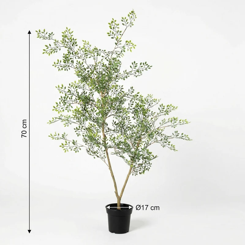 Kunstpflanze Bucida in 3 verschiedenen Größen ( 71cm, 165cm, 200cm)