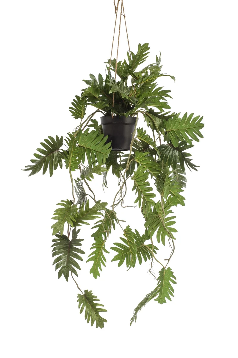 Kunstpflanze Philodendron hängend kaufen – 80 cm, täuschend echt