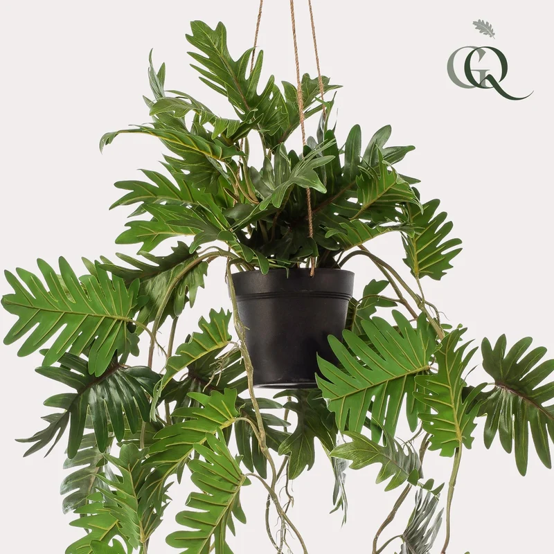 Kunstpflanze Philodendron hängend kaufen – 80 cm, täuschend echt