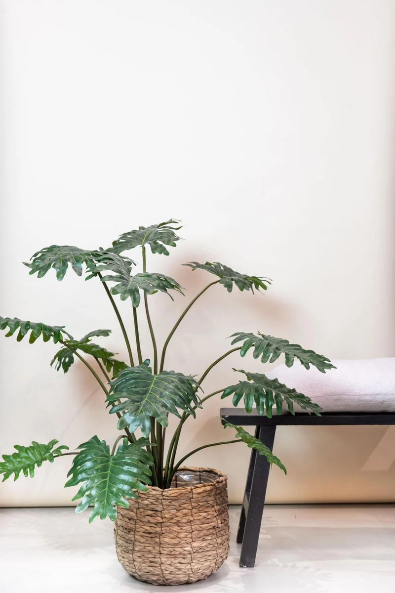 Kunstpflanze Philodendron 45cm - 120cm