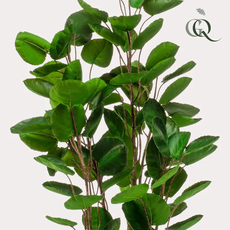 Kunstpflanze - Polyscias - Aralia - 105 - 150 cm