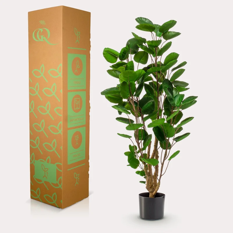 Kunstpflanze - Polyscias - Aralia - 105 - 150 cm