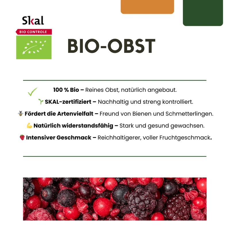3 x Bio-Weinreben – Ø 13 cm – ↨ 20 cm