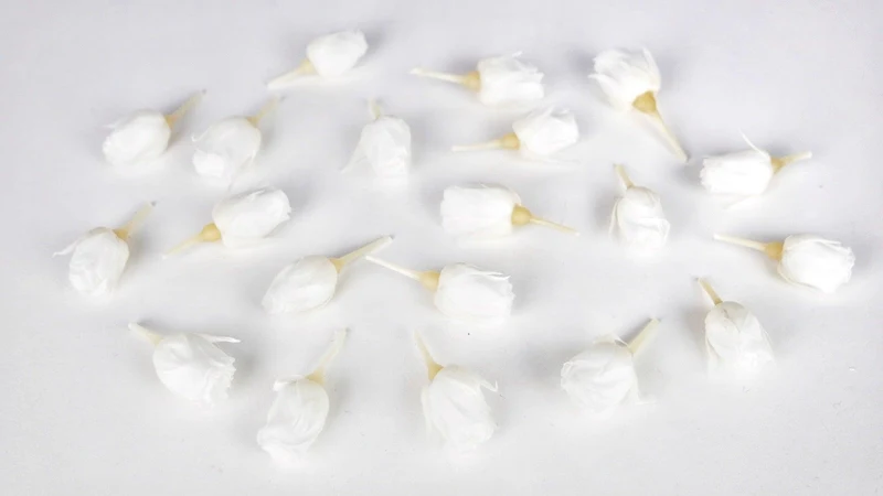 Rosenblütenknospen konserviert Earth Matters - 20 Köpfe - Pure white 001