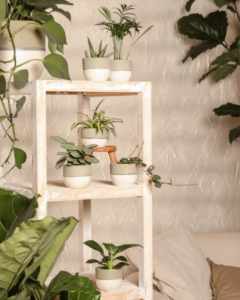 Keramik Baby-Topfset 'Variado' (6 Stk.)