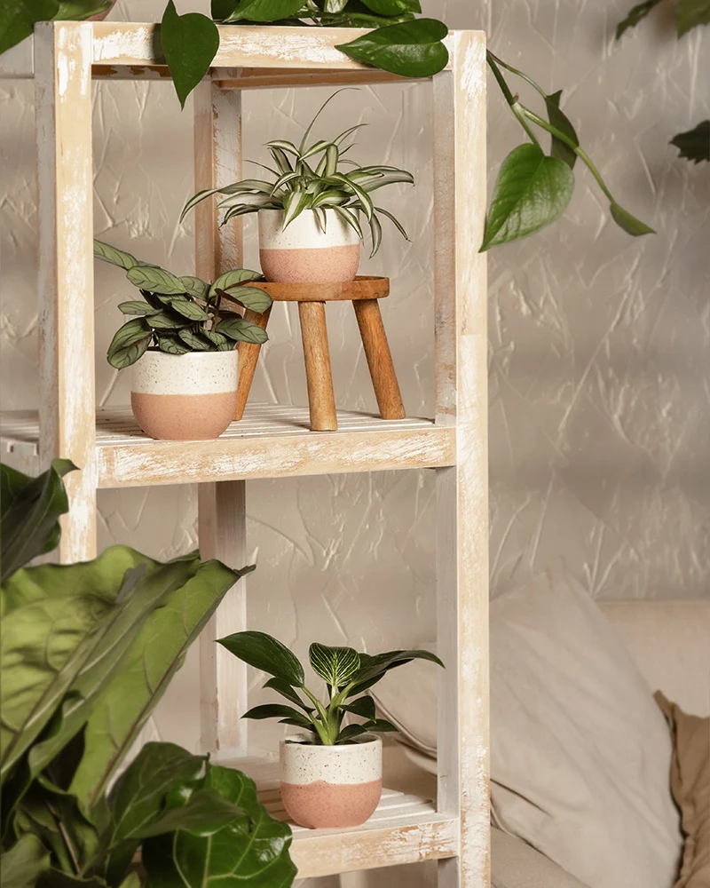 Keramik Baby-Topfset 'Variado' (3 Stk.)
