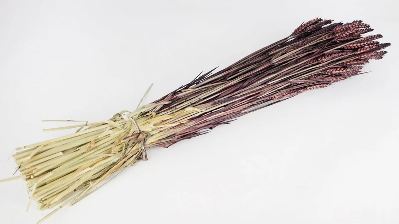 Weizen getrocknet - 1 Bund - Deep brown