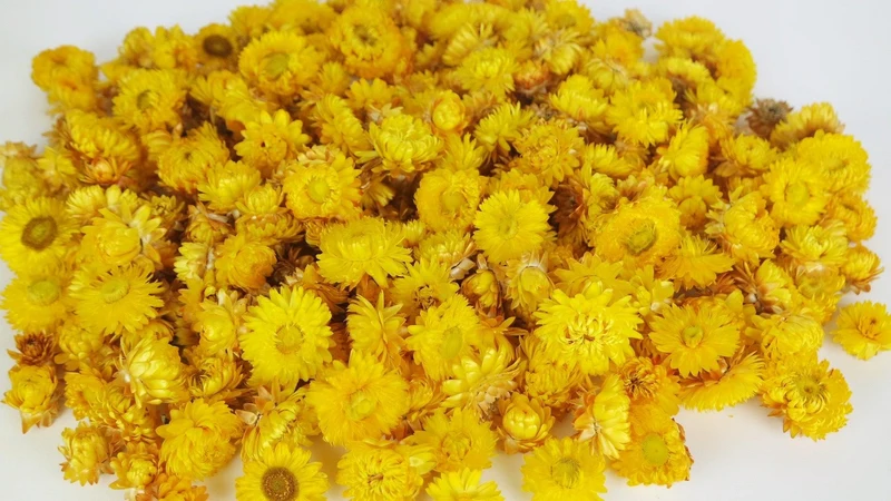 Strohblumen Köpfe - 2 kg - Versch. Farben
