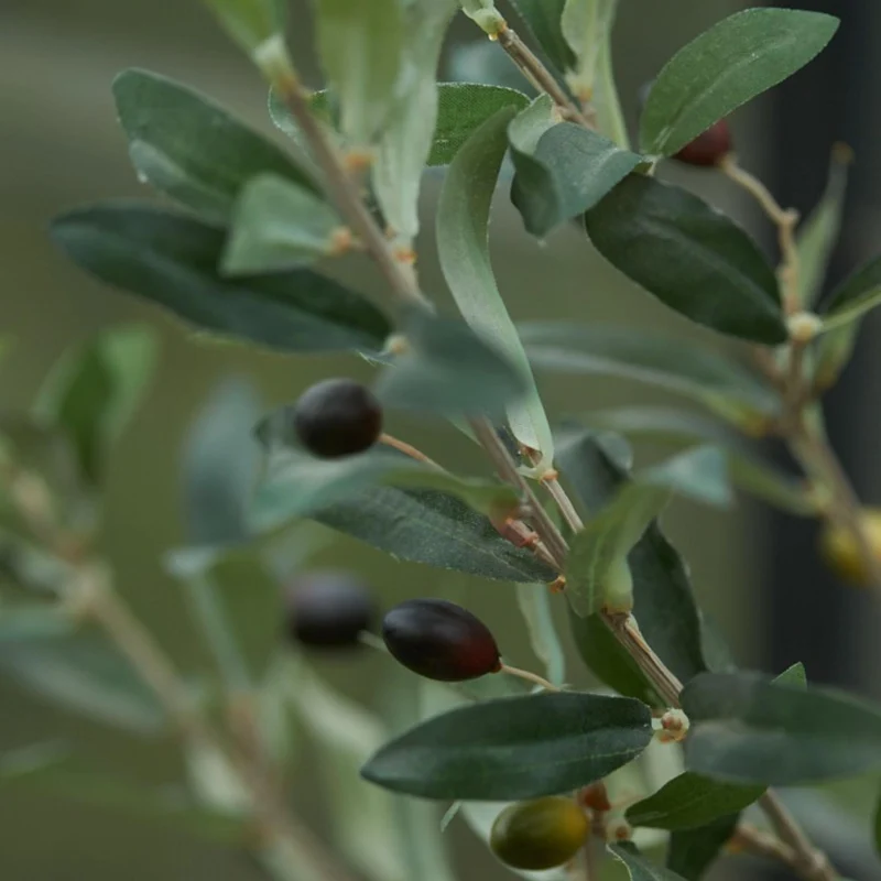 Olivenbaum im Topf, 65 cm – Künstliche Pflanze