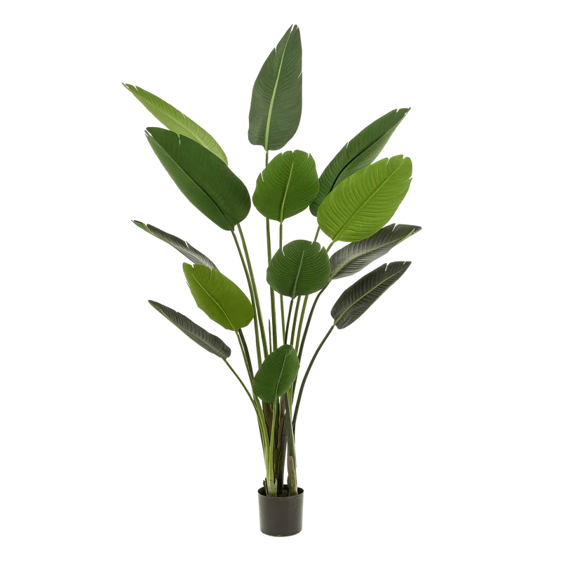 Kunstpflanze - Strelitzia Nicolai - Paradiesvogelblume in verschiedenen Größen 120-190