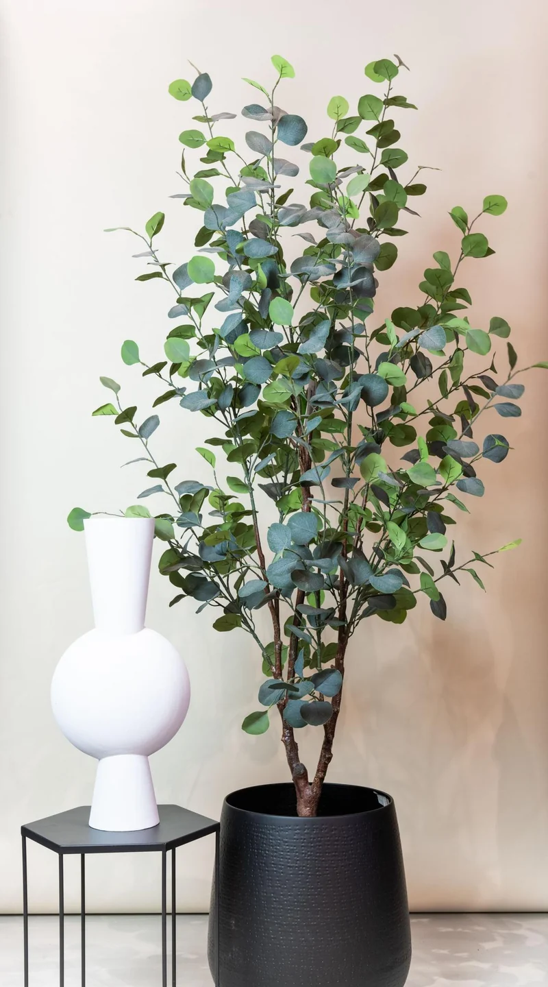Kunstpflanze - Eucalyptusbaum - Blauer Gummibaum in den Größen 120cm, 180cm