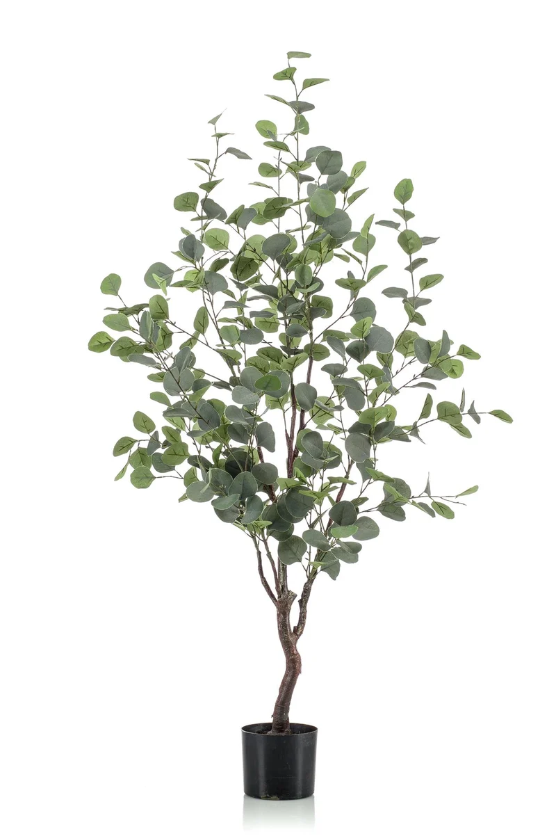 Kunstpflanze - Eucalyptusbaum - Blauer Gummibaum in den Größen 120cm, 180cm
