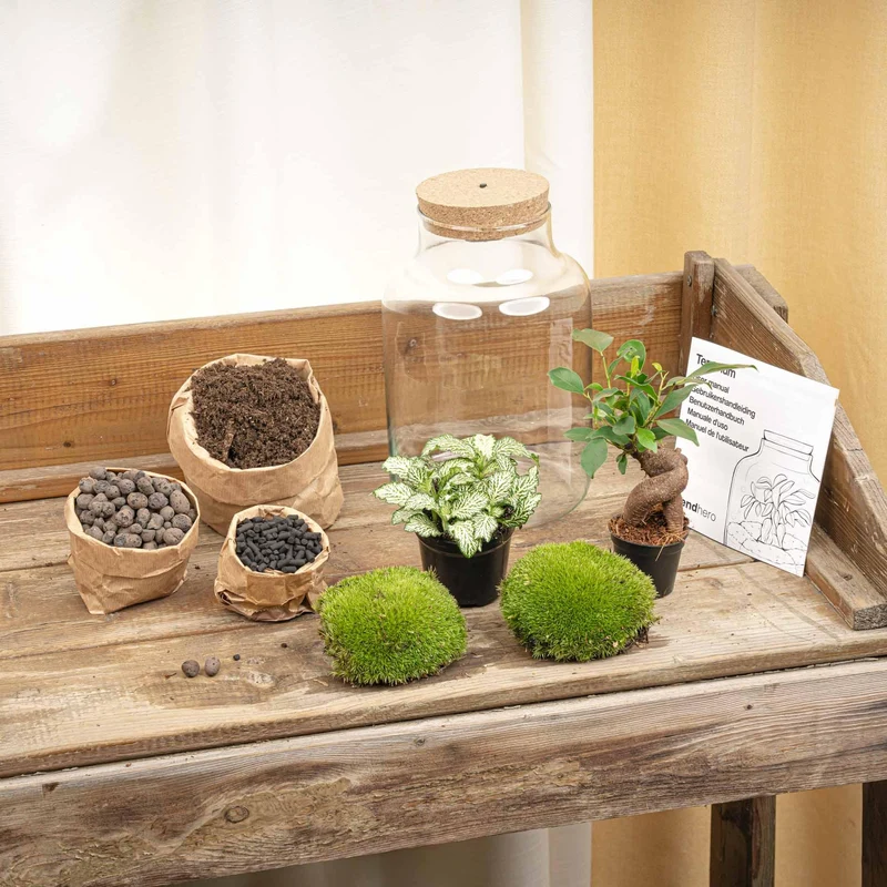 DIY-Pflanzenterrarium mit Beleuchtung Little Milky Bonsai Ø 17 cm 25 cm