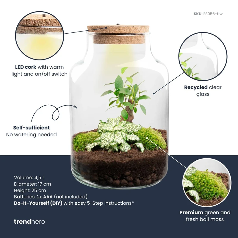 DIY-Pflanzenterrarium mit Beleuchtung Little Milky Bonsai Ø 17 cm 25 cm