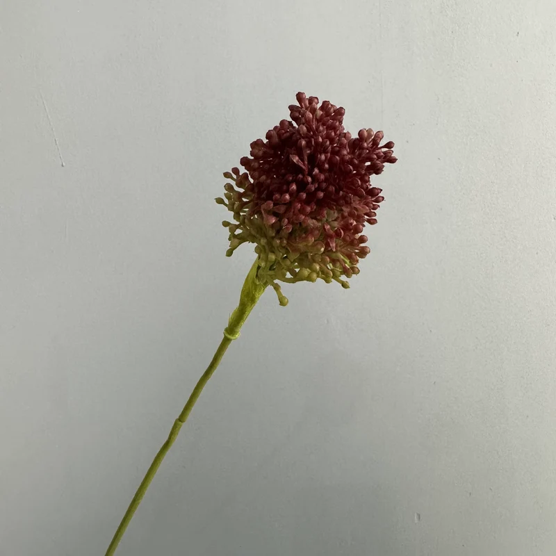 Künstlicher Allium Stiel 64 cm, Realistischer Zierlauch Dekozweig, Hochwertige Kunstblume für Vase, Hochzeit & Floristik, Langlebige Deko