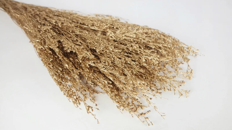 Limonium getrocknet - 1 Bund - Gold