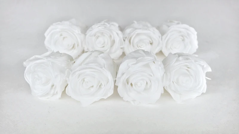Stabilisierte Rosen Kiara 5 cm - 8 Stück - Pure white