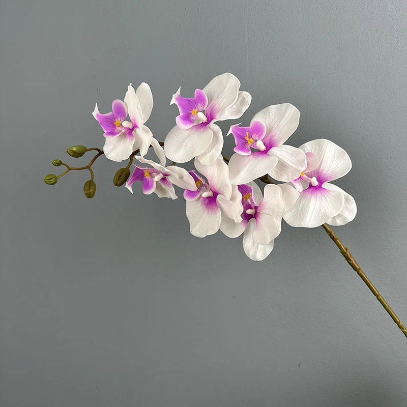 Phalaenopsis Orchideenzweig 100 cm | Real Touch Kunstblume in Herbstfarben | 7 Blüten Ø 10 cm | Echt anfühlend für hohe Vasen, Hochzeit & Deko