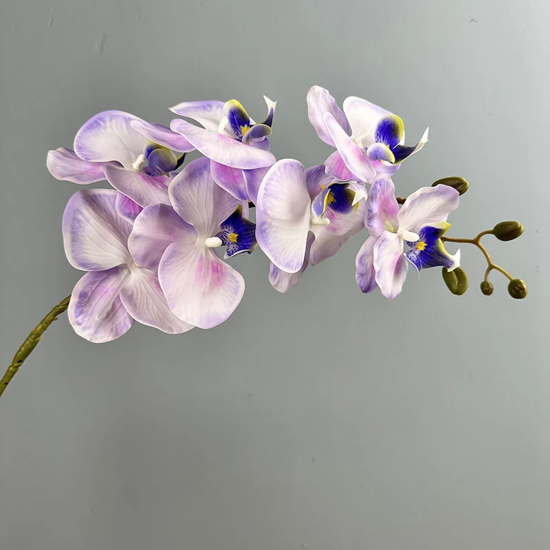 Phalaenopsis Orchideenzweig 100 cm | Real Touch Kunstblume in Herbstfarben | 7 Blüten Ø 10 cm | Echt anfühlend für hohe Vasen, Hochzeit & Deko