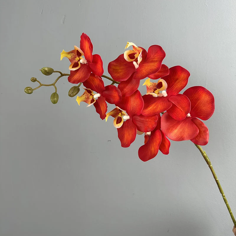 Phalaenopsis Orchideenzweig 100 cm | Real Touch Kunstblume in Herbstfarben | 7 Blüten Ø 10 cm | Echt anfühlend für hohe Vasen, Hochzeit & Deko