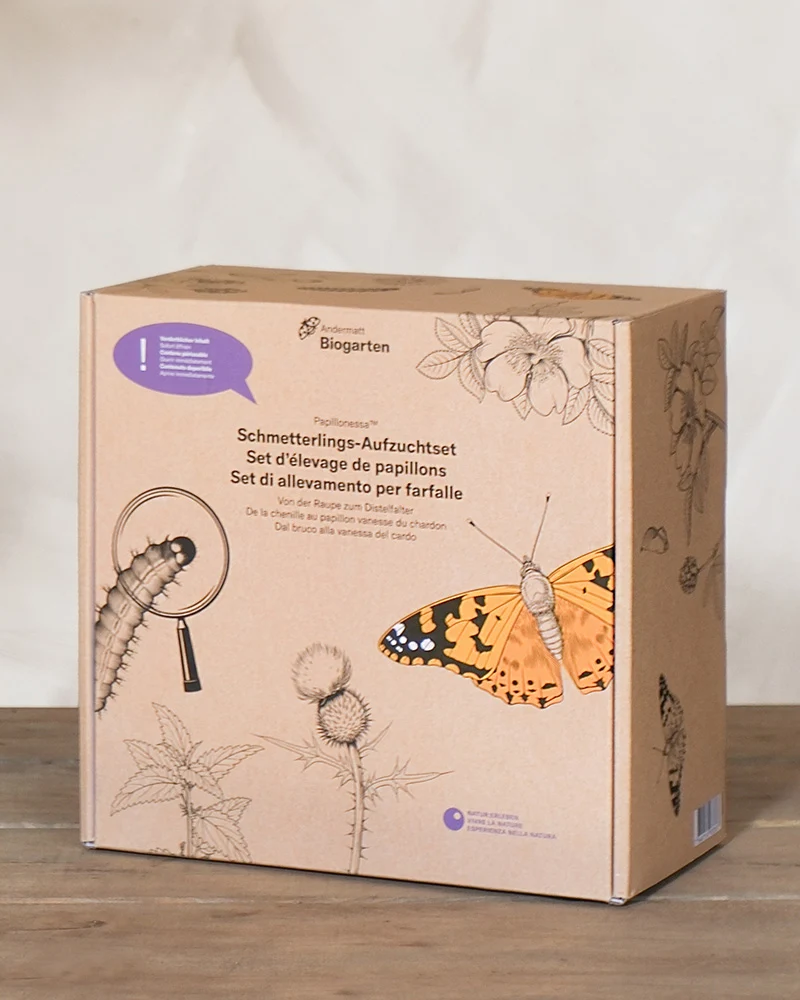 Aufzuchtset für Schmetterlinge