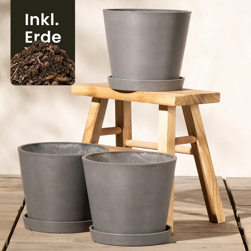 Pflanzkübel-Set Amsterdam (3x 20)