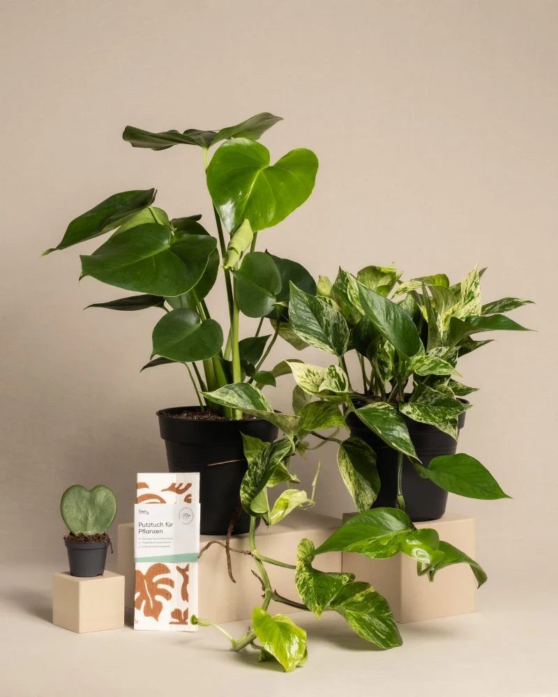 Me-Time Bundle