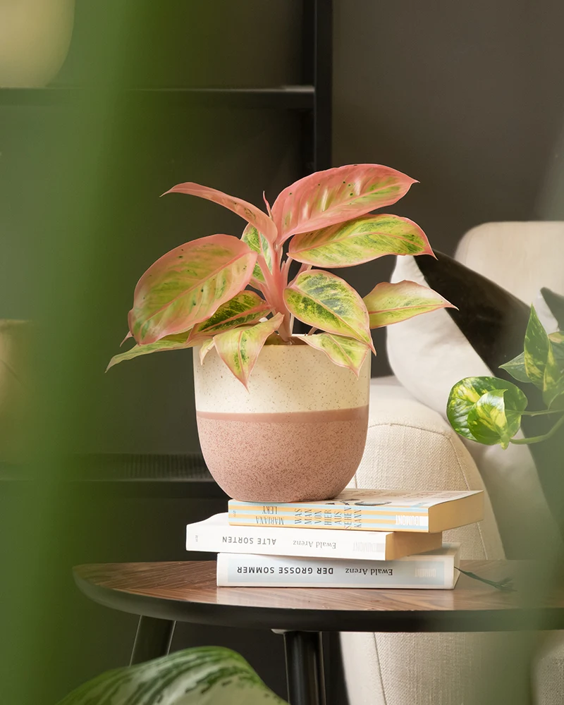Keramik Topfset 'Variado' (16, 3×14)