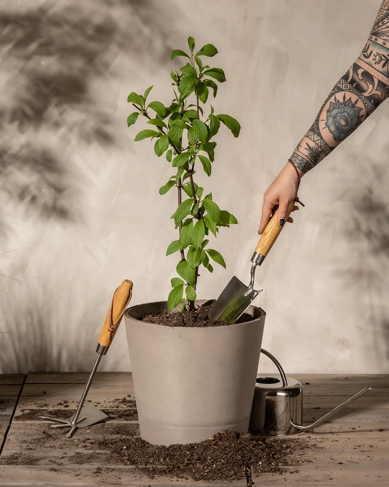 Erde für Balkon- & Gartenpflanzen
