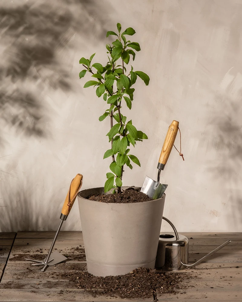 Erde für Balkon- & Gartenpflanzen