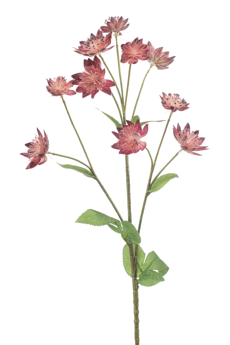 Astrantia künstlich 70 cm - 1 Stiel - Dunkelrosa
