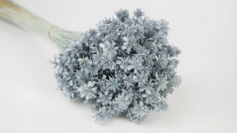 Bergblumen - 1 Strauß - Blaugrau