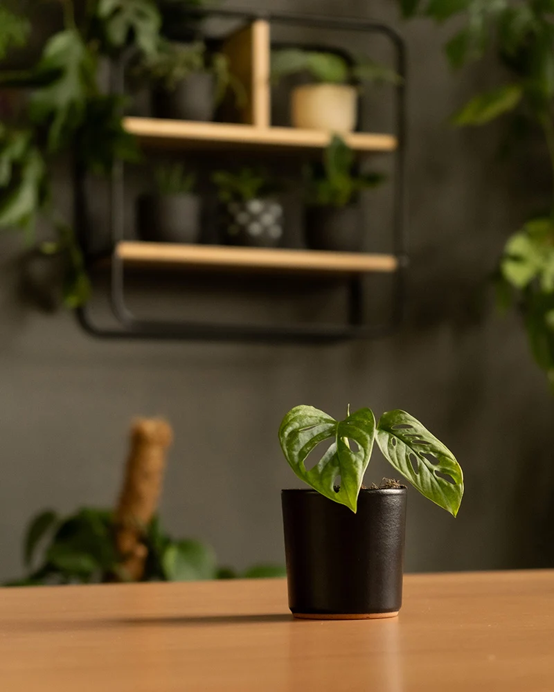 Keramik Baby-Topfset 'Sencillo' (6 Stk.)
