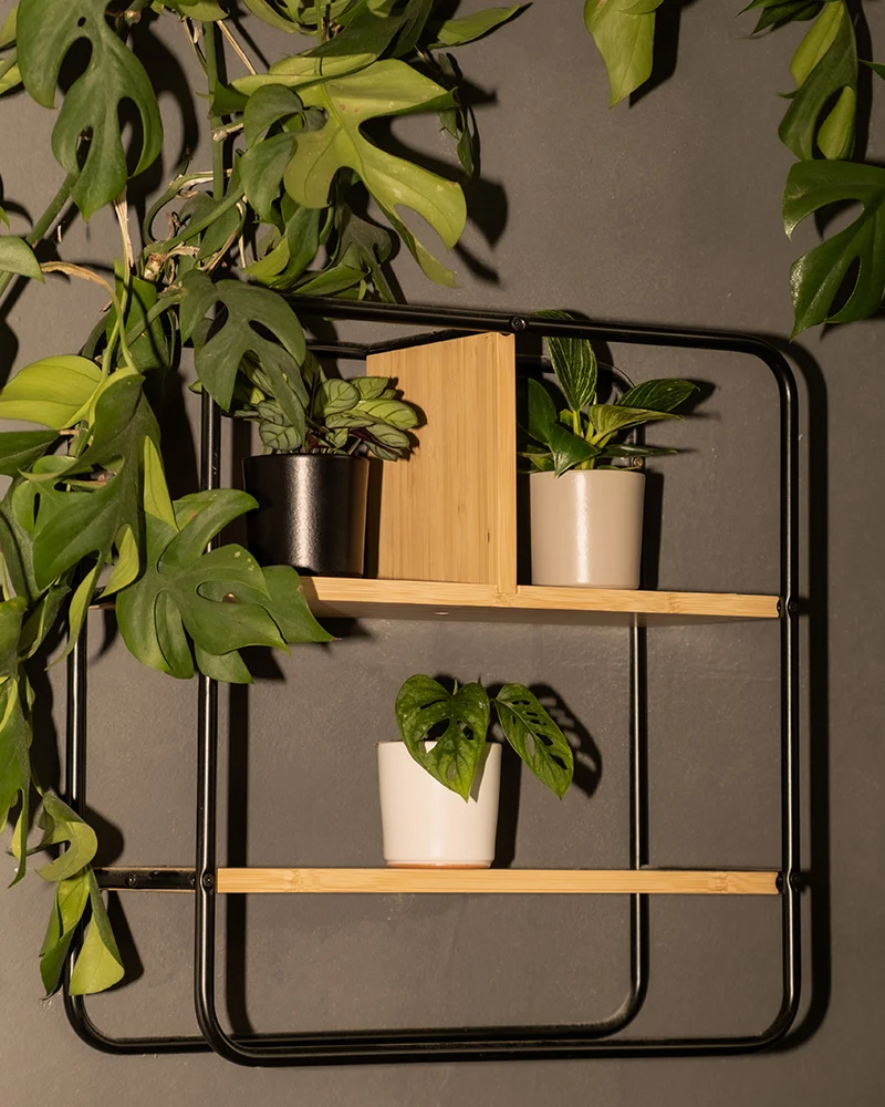 Keramik Baby-Topfset 'Sencillo' (6 Stk.)