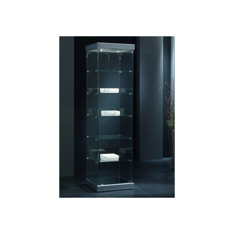 Casa Padrino Luxus Ladenvitrine 54 x 53 cm H. 200 cm mit 2 LED-Spots - Ladeneinrichtung - Boutique Möbel - Made in Italy