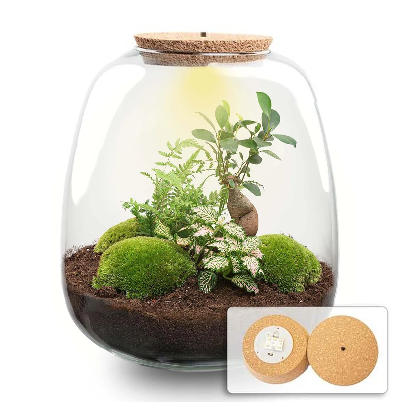 Pflanzenterrarium Emma DIY-Set 25 cm Ø 23 cm Bonsai Rosa