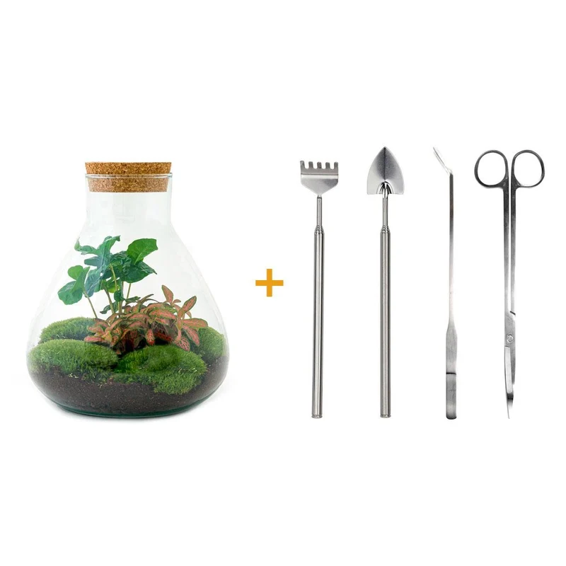 Flaschengarten - Sammie Coffea - ↕ 26 cm - Normal
