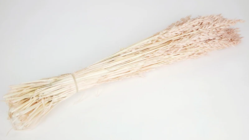 Hafer getrocknet - 1 Bund - Nude