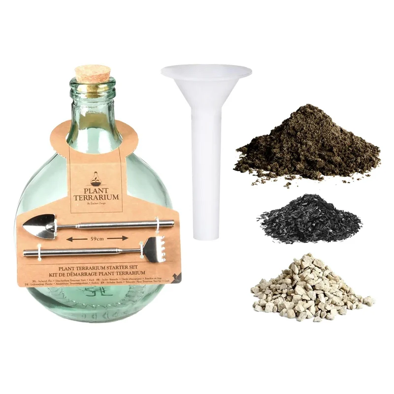 DIY-Pflanzenterrarium-Set (5 l) – Erschaffe dein eigenes geschlossenes Ökosystem – In Geschenkbox