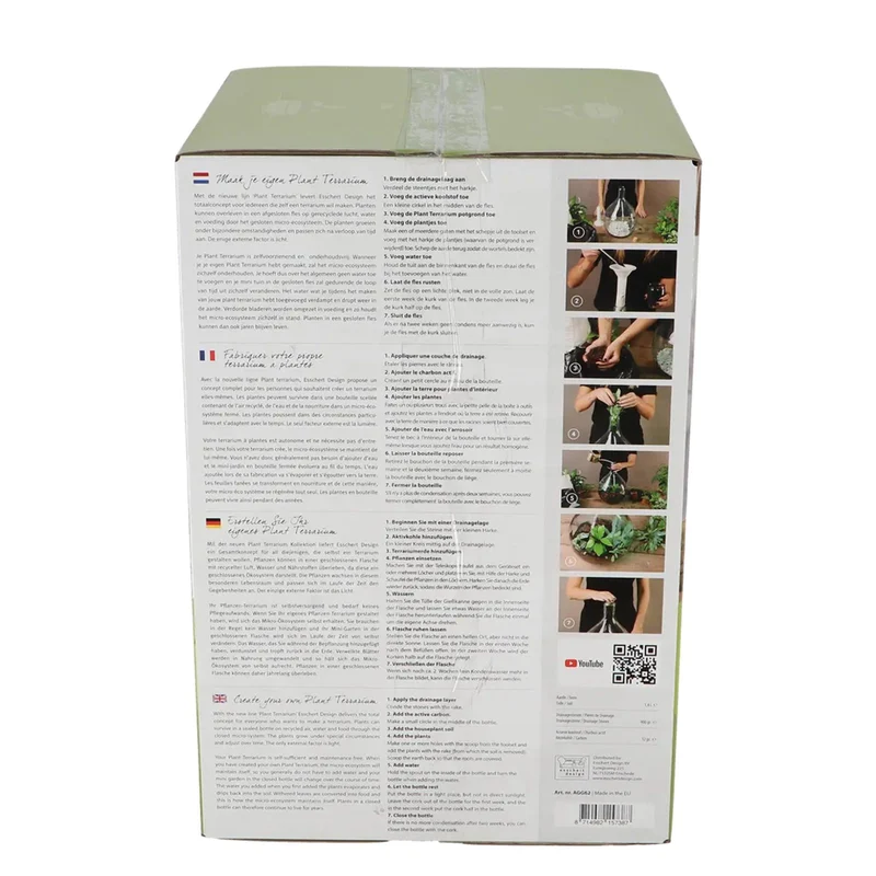DIY-Pflanzenterrarium-Set (5 l) – Erschaffe dein eigenes geschlossenes Ökosystem – In Geschenkbox