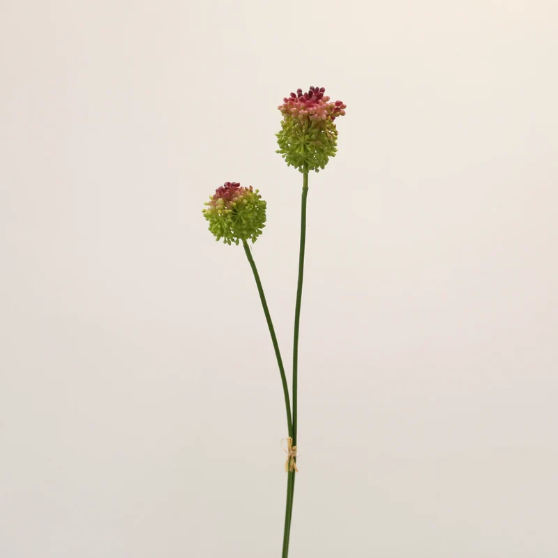 Allium Kunstblume 2er Set, 70cm Zierlauch Stiel, Naturgetreue Pusteblume, Hochwertige Kunstpflanze für Vase, Hochzeit, Floristik & Deko