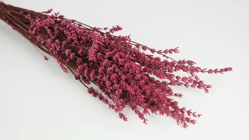 Stabilisierter Lavendel - 1 Bund - Dunkelrosa